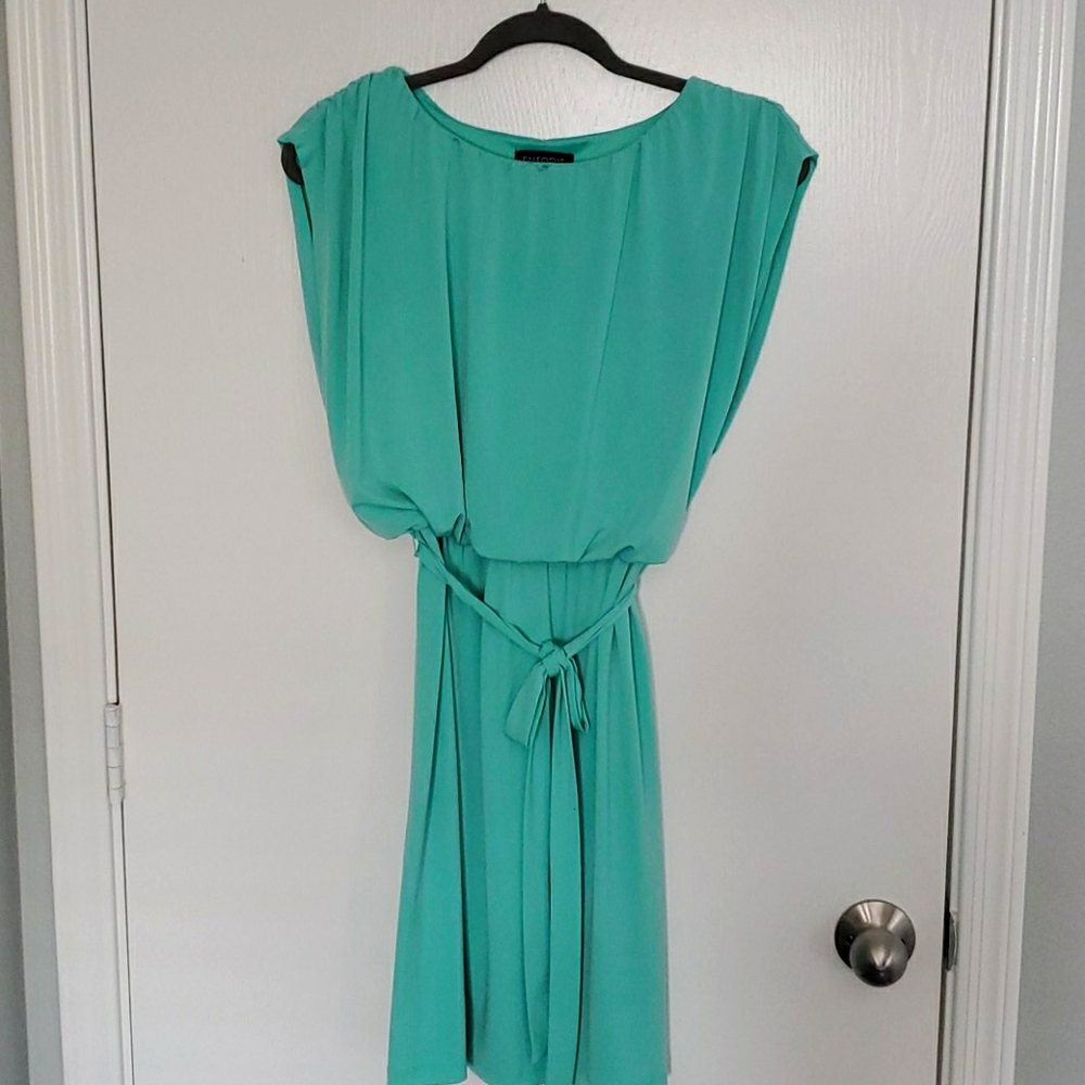 Enfocus Studio Dress